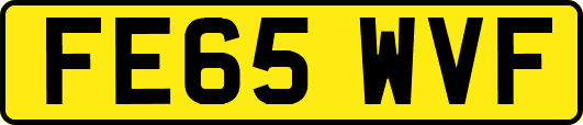 FE65WVF