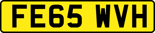 FE65WVH