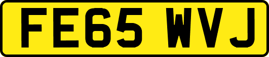 FE65WVJ