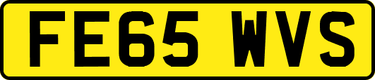FE65WVS