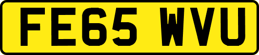FE65WVU