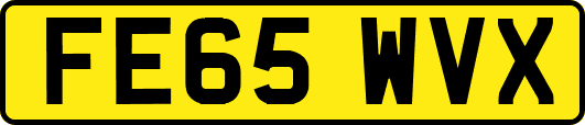 FE65WVX