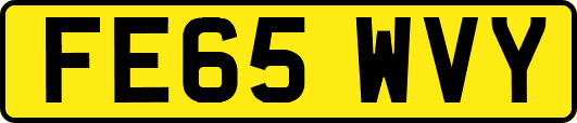 FE65WVY
