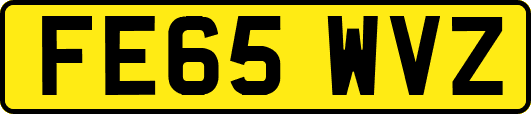 FE65WVZ