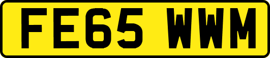 FE65WWM