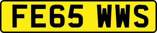 FE65WWS