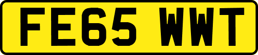 FE65WWT
