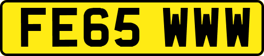 FE65WWW