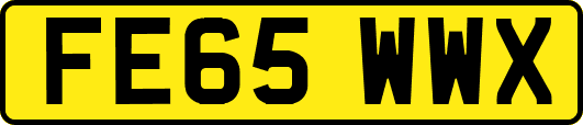 FE65WWX