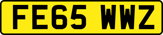FE65WWZ