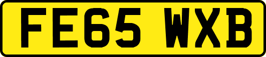 FE65WXB
