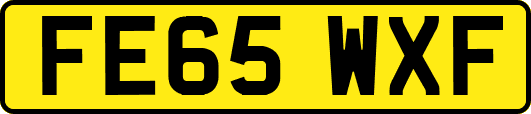 FE65WXF