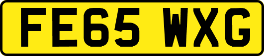 FE65WXG