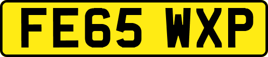FE65WXP