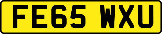 FE65WXU