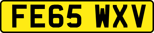 FE65WXV