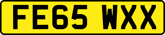 FE65WXX