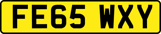FE65WXY