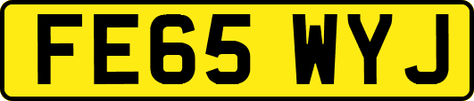 FE65WYJ