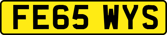FE65WYS