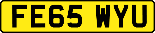 FE65WYU