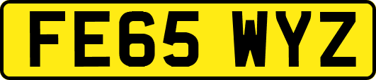 FE65WYZ