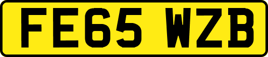 FE65WZB