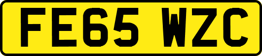FE65WZC