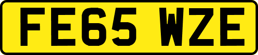 FE65WZE