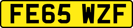 FE65WZF