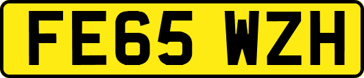 FE65WZH