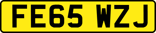 FE65WZJ