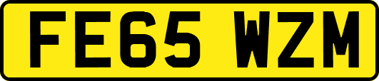 FE65WZM