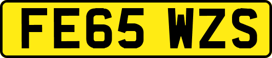 FE65WZS