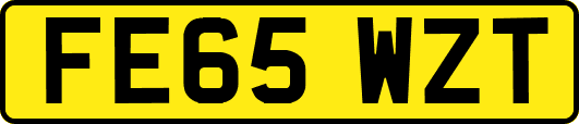 FE65WZT