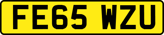 FE65WZU