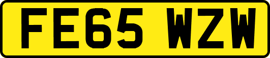 FE65WZW