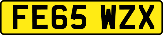 FE65WZX