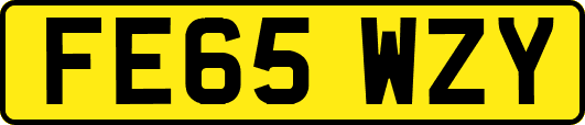 FE65WZY