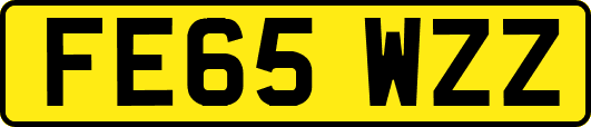 FE65WZZ