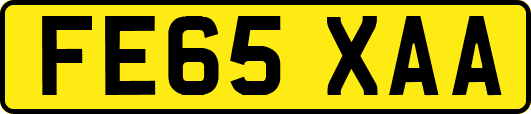 FE65XAA
