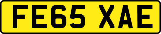 FE65XAE