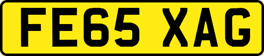 FE65XAG