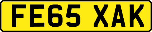 FE65XAK