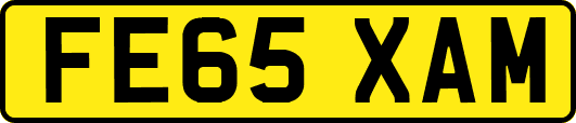 FE65XAM