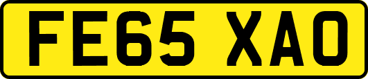FE65XAO