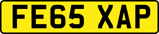 FE65XAP