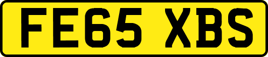 FE65XBS
