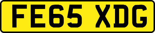 FE65XDG