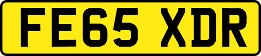 FE65XDR